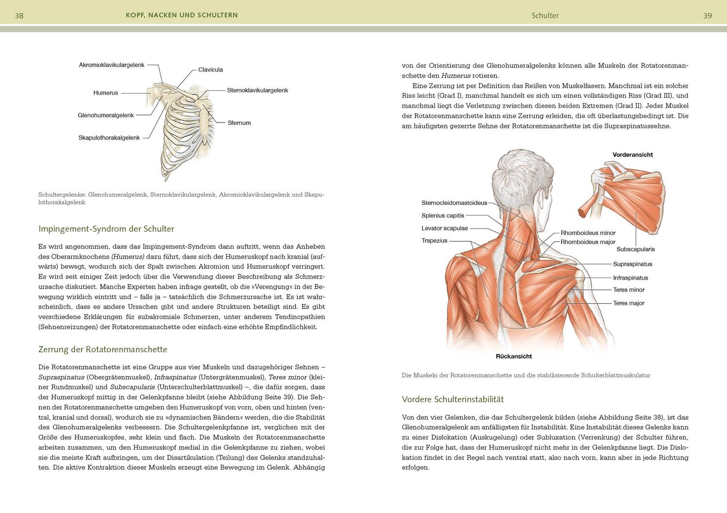 Bild: 9783742324047 | Prävention von Sportverletzungen - Anatomie | David Potach (u. a.)