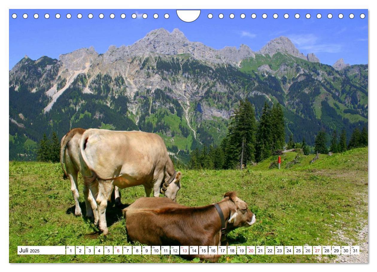 Bild: 9783435482887 | Geliebtes Tirol. Alpiner Zauber in Österreich (Wandkalender 2025...