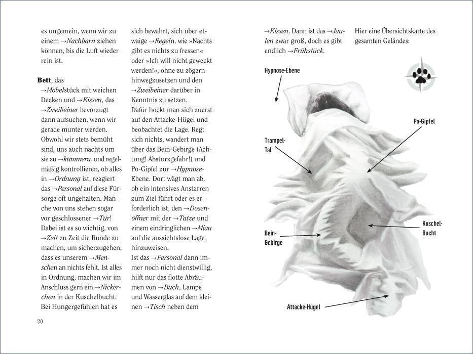 Bild: 9783458363057 | Wie wir Katzen die Welt sehen | Hermien Stellmacher (u. a.) | Buch