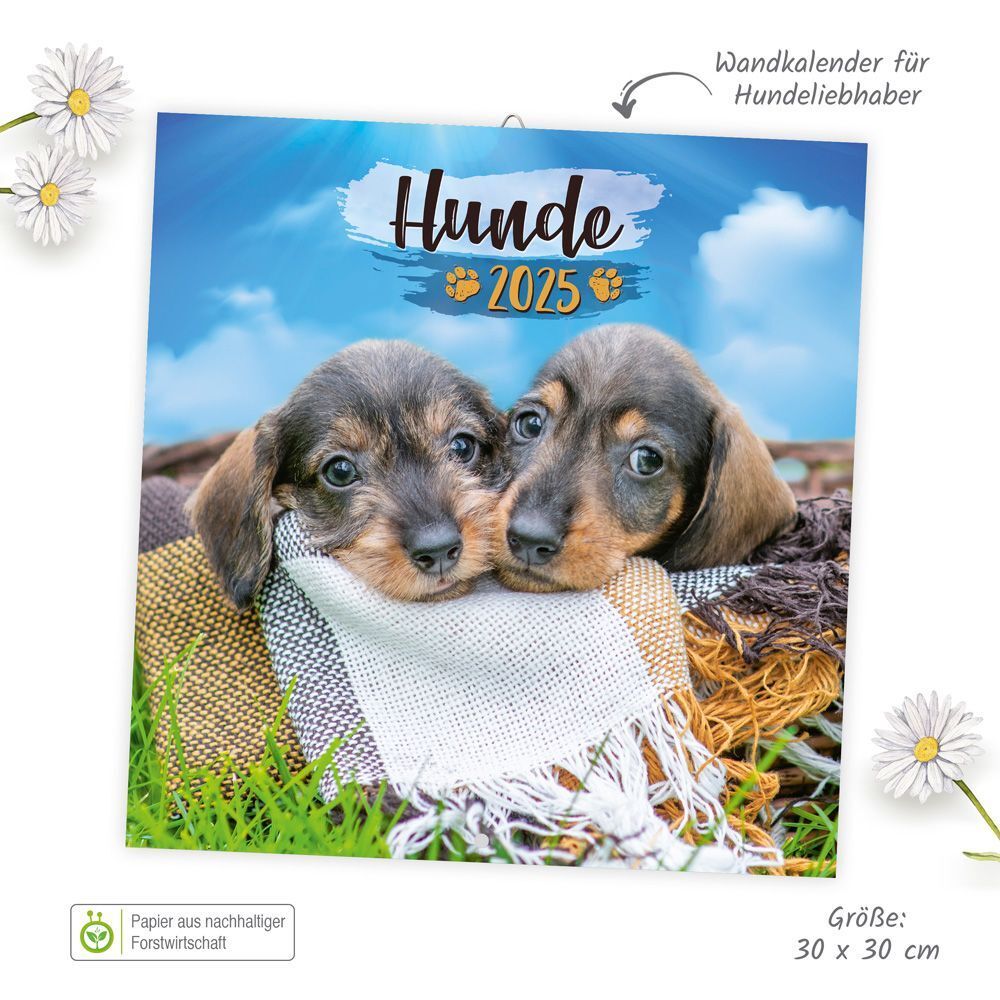 Bild: 9783988021885 | Trötsch Broschürenkalender Hunde 2025 | Wandplaner | Co.KG | Kalender