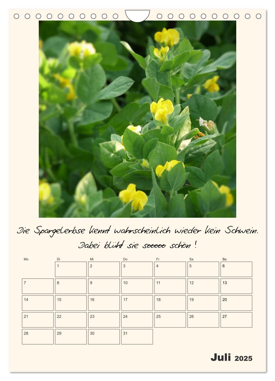 Bild: 9783435999583 | Gartengeschichten (Wandkalender 2025 DIN A4 hoch), CALVENDO...