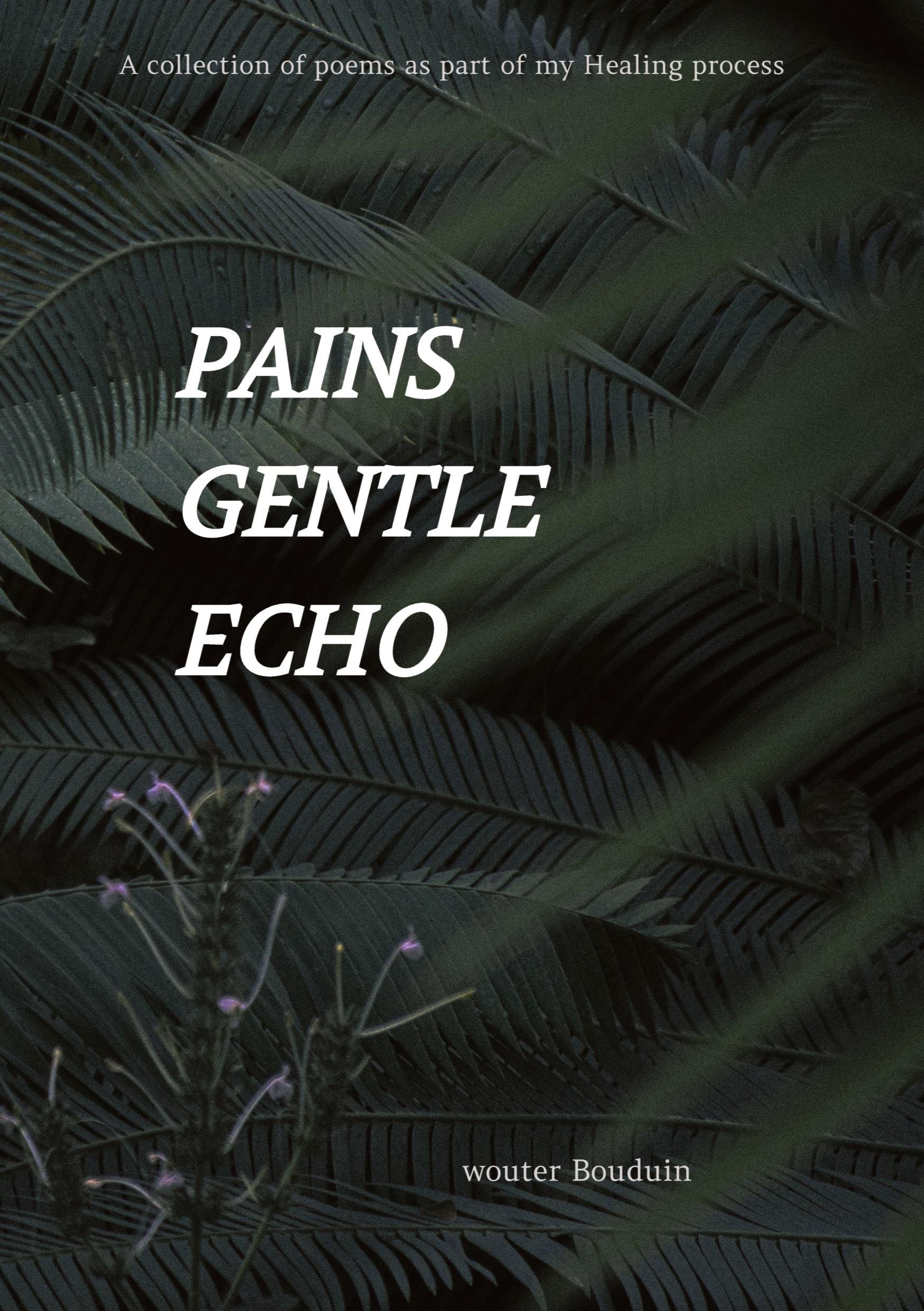 Cover: 9783384271778 | Pains gentle echo | Wouter Bouduin | Taschenbuch | Paperback | 2024