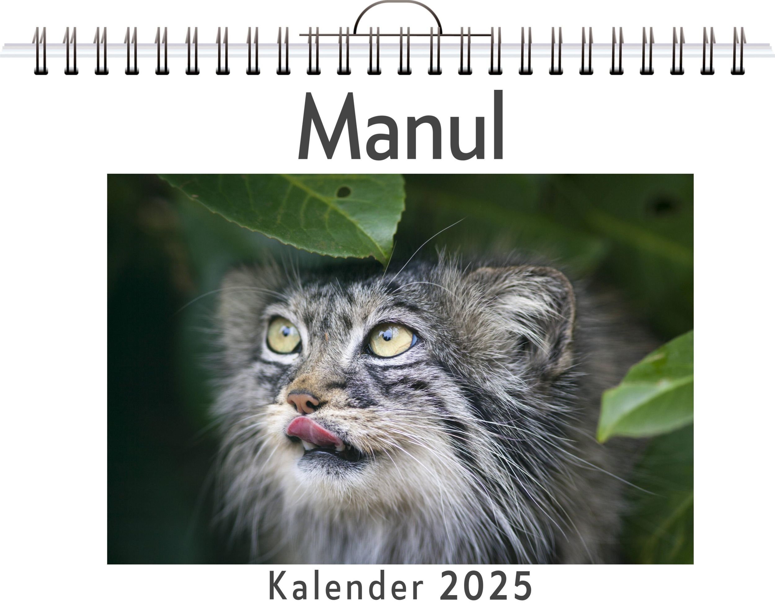 Cover: 9783759132352 | Manul | David Möller | Kalender | Kalender | 14 S. | Deutsch