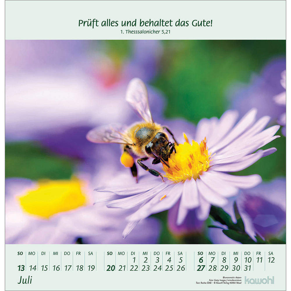 Bild: 9783754826058 | Blumengrüße 2025 | Kalender mit Bibelworten und Blumenbildern | 14 S.