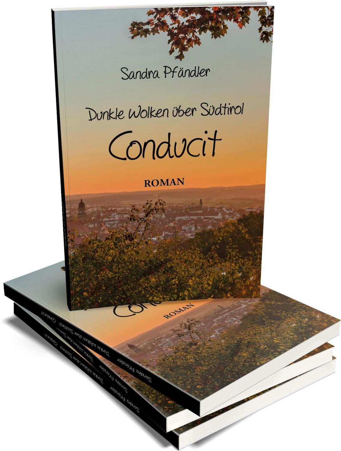 Bild: 9783960745716 | Dunkle Wolken über Südtirol - Conducit | Sandra Pfändler | Taschenbuch