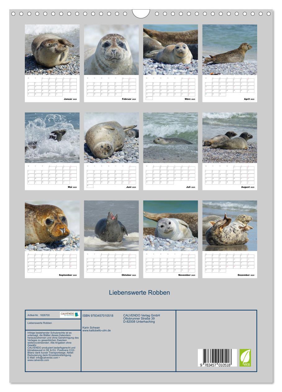 Bild: 9783457010518 | Liebenswerte Robben (Wandkalender 2025 DIN A3 hoch), CALVENDO...