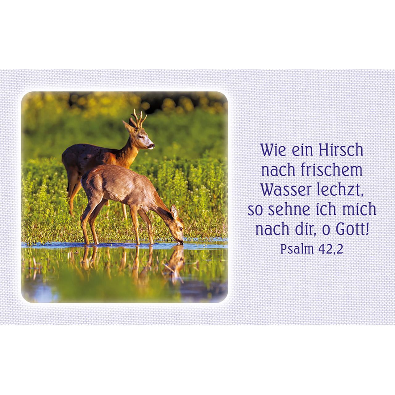 Bild: 4034905014936 | 62 Psalm-Gebete | mit Farbbildern und Bibelworten | Taschenbuch | 2024