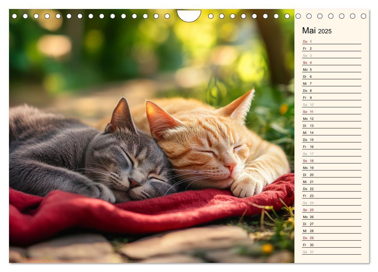 Bild: 9783457179789 | Katzen schaffen Kunst (Wandkalender 2025 DIN A4 quer), CALVENDO...