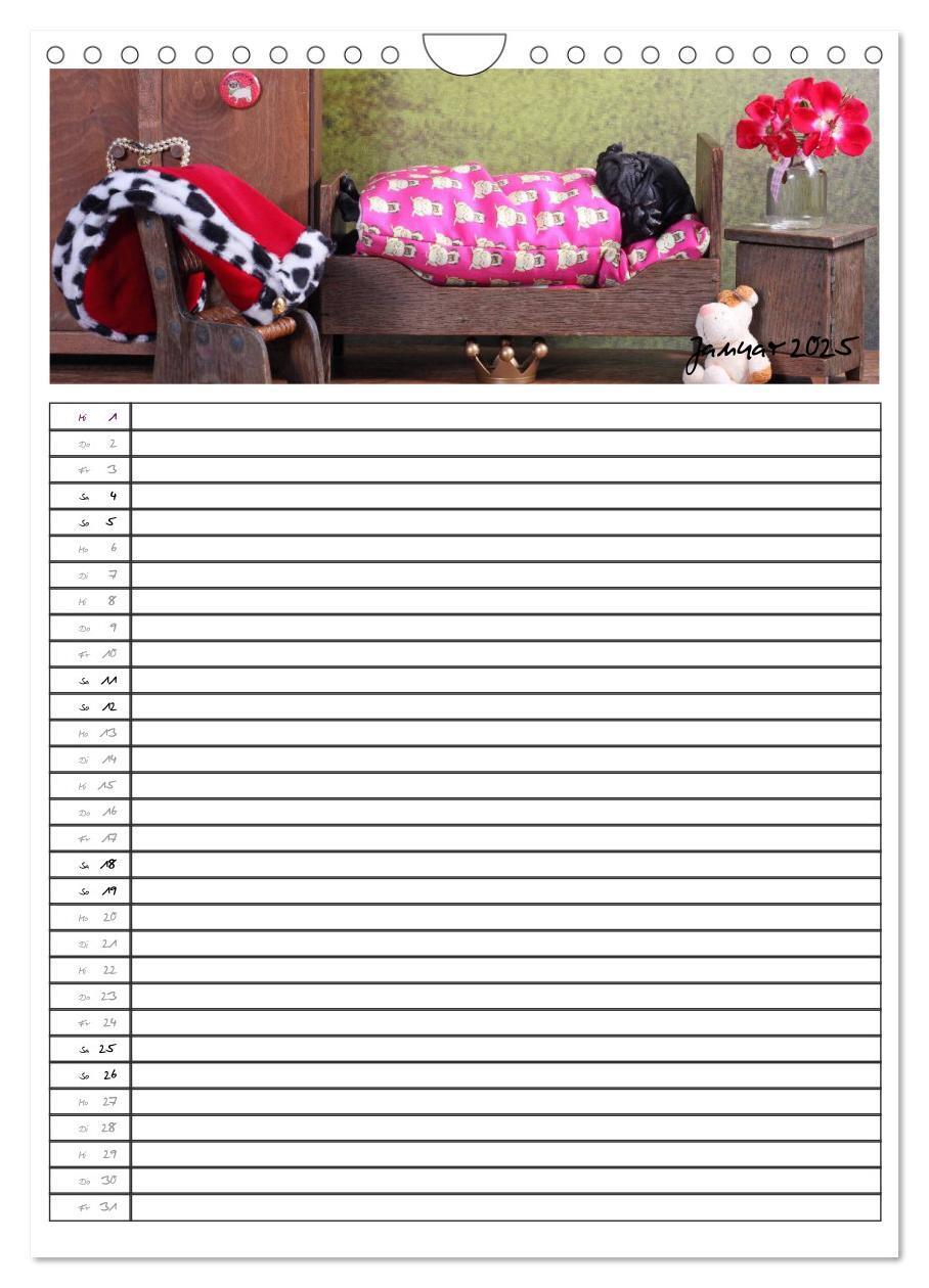 Bild: 9783457067796 | Der mopsige Familienplaner (Wandkalender 2025 DIN A4 hoch),...