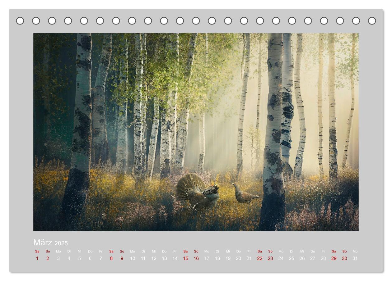 Bild: 9783383913457 | Wald der Märchen (Tischkalender 2025 DIN A5 quer), CALVENDO...