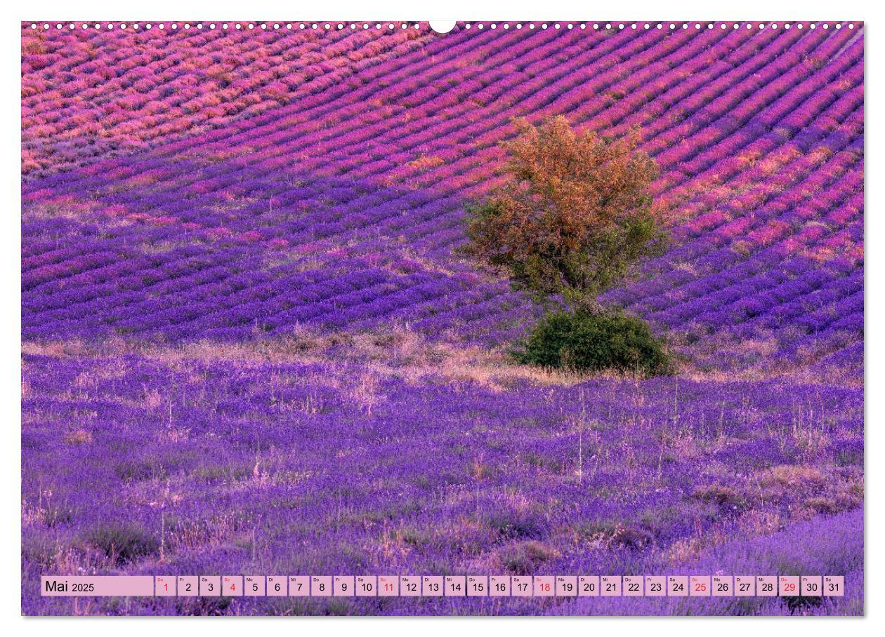 Bild: 9783435300556 | Provence, Lavendelzeit in Südfrankreich (hochwertiger Premium...