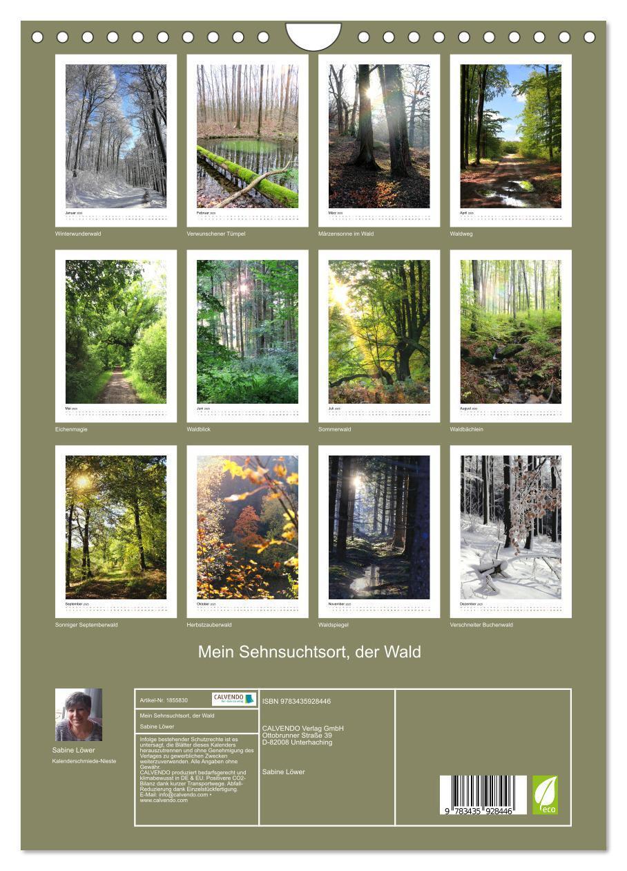 Bild: 9783435928446 | Mein Sehnsuchtsort, der Wald (Wandkalender 2025 DIN A4 hoch),...