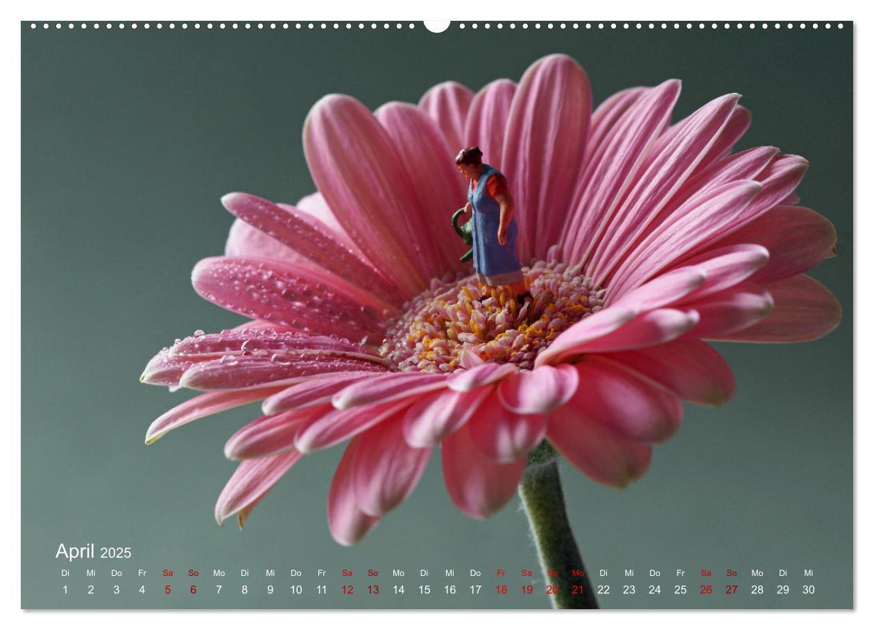 Bild: 9783457224410 | Das geheime Leben von Miniatur-Figuren (Wandkalender 2025 DIN A2...