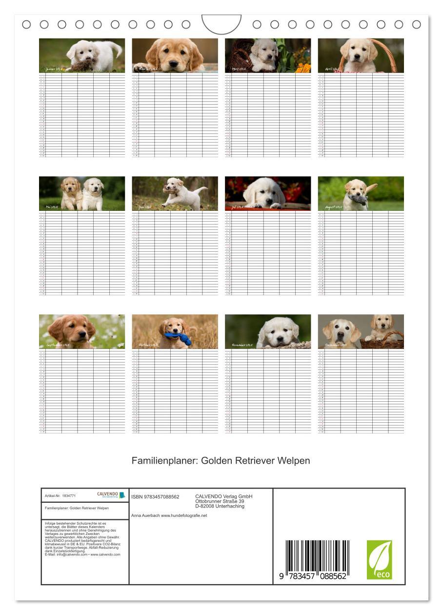 Bild: 9783457088562 | Familienplaner: Golden Retriever Welpen (Wandkalender 2025 DIN A4...