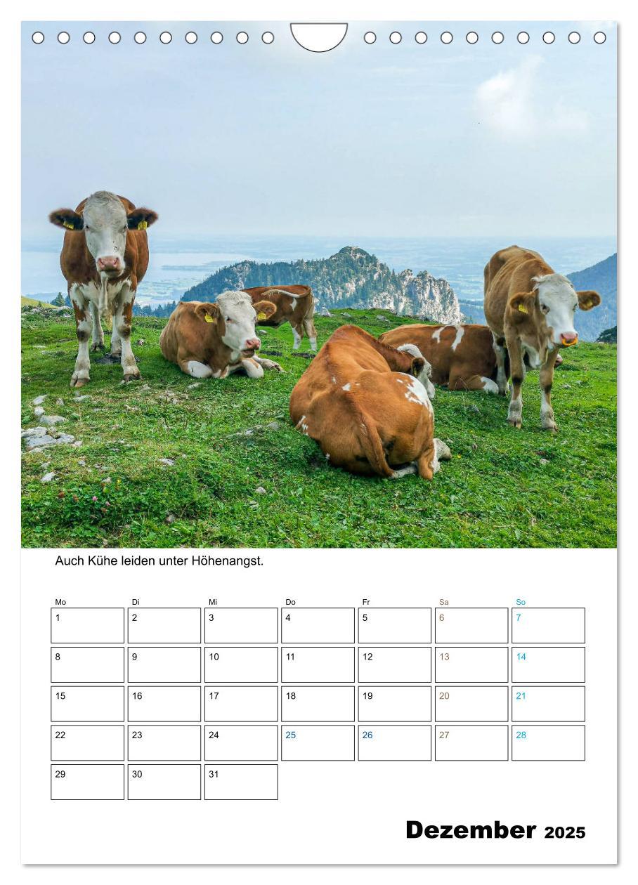 Bild: 9783435943203 | Liebenswerte Landtiere (Wandkalender 2025 DIN A4 hoch), CALVENDO...