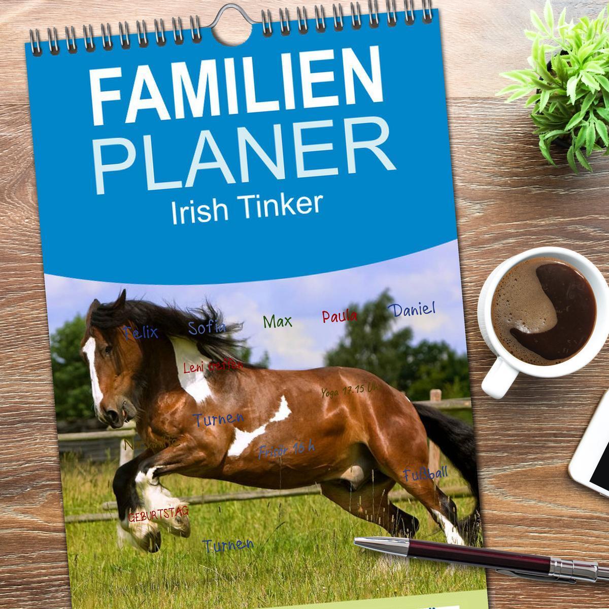 Bild: 9783457113738 | Familienplaner 2025 - Irish Tinker mit 5 Spalten (Wandkalender, 21...