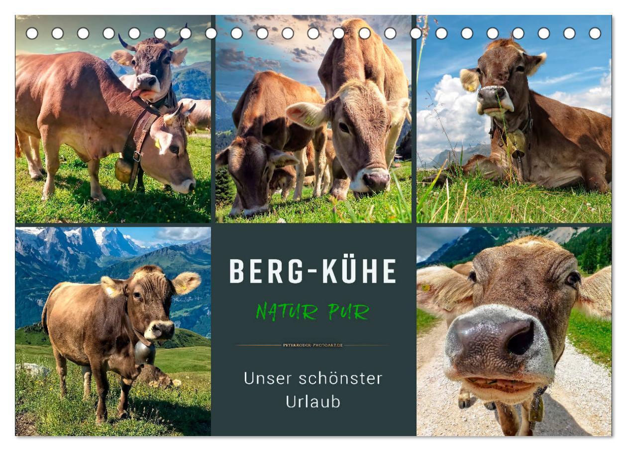 Cover: 9783435118618 | Berg-Kühe, Natur pur - unser schönster Urlaub (Tischkalender 2025...