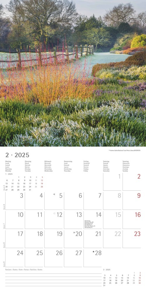 Bild: 4251732340629 | Alpha Edition - Gartenzauber 2025 Broschürenkalender, 30x30cm,...