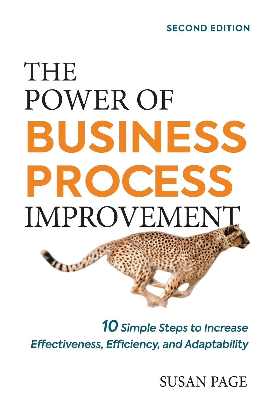 Cover: 9781400242597 | The Power of Business Process Improvement | Susan Page | Taschenbuch