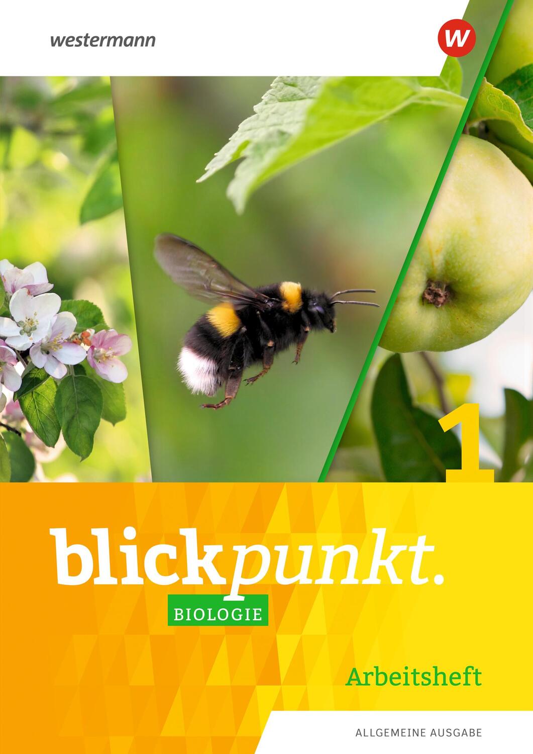 Cover: 9783141881158 | Blickpunkt Biologie 1. Arbeitsheft. Allgemeine Ausgabe | Ausgabe 2020