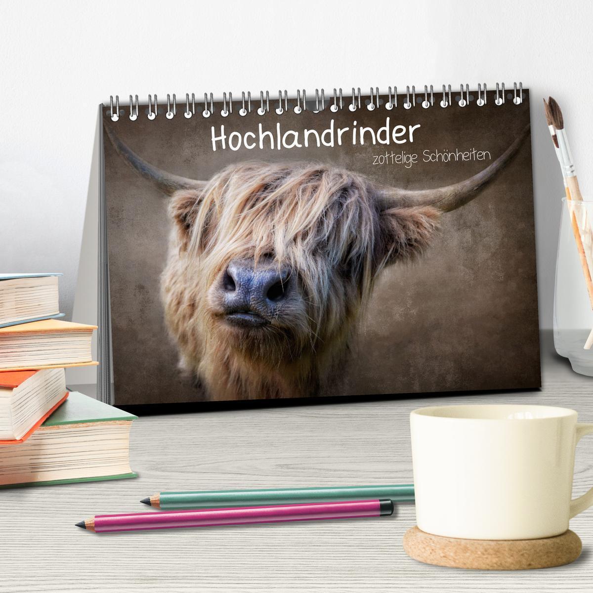 Bild: 9783435036073 | Hochlandrinder - Zottelige Schönheiten (Tischkalender 2025 DIN A5...