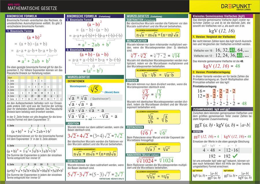 Rückseite: 9783864486654 | Mathematische Gesetze. Info-Tafel | Michael Schulze | Buch | 2 S.