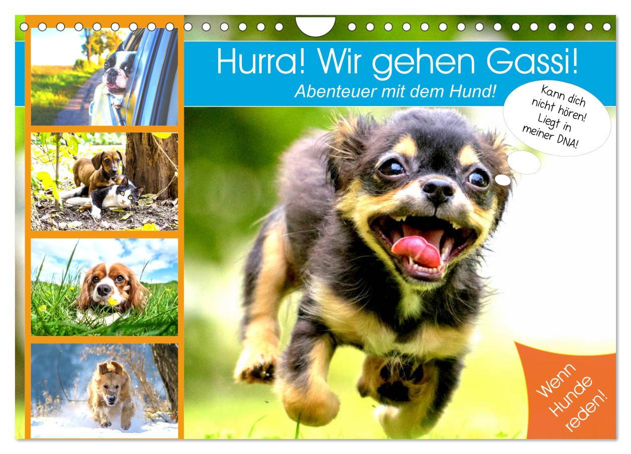 Cover: 9783435184897 | Hurra! Wir gehen Gassi! Abenteuer mit dem Hund! (Wandkalender 2025...