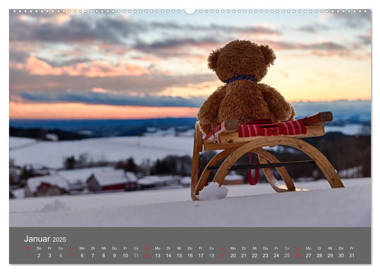 Bild: 9783435490356 | Travelling Teddy 2025 (hochwertiger Premium Wandkalender 2025 DIN...