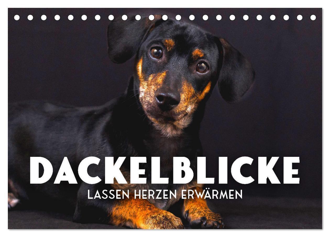 Cover: 9783383883552 | Dackelblicke - Lassen Herzen erwärmen. (Tischkalender 2025 DIN A5...