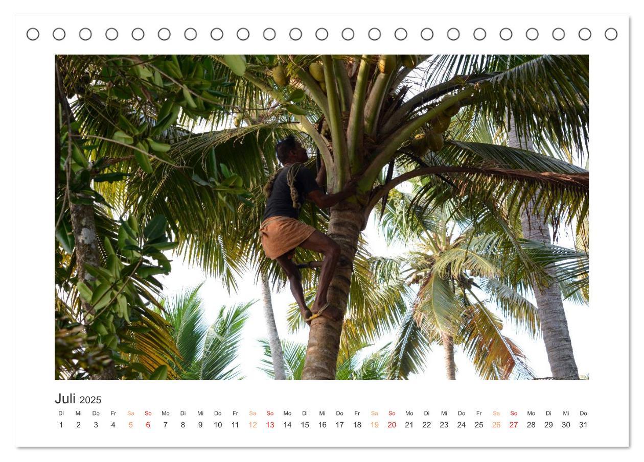 Bild: 9783435732524 | Kerala - Im Süden Indiens (Tischkalender 2025 DIN A5 quer),...