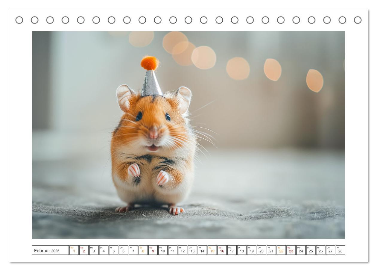 Bild: 9783435084876 | Lustige Hamster (Tischkalender 2025 DIN A5 quer), CALVENDO...