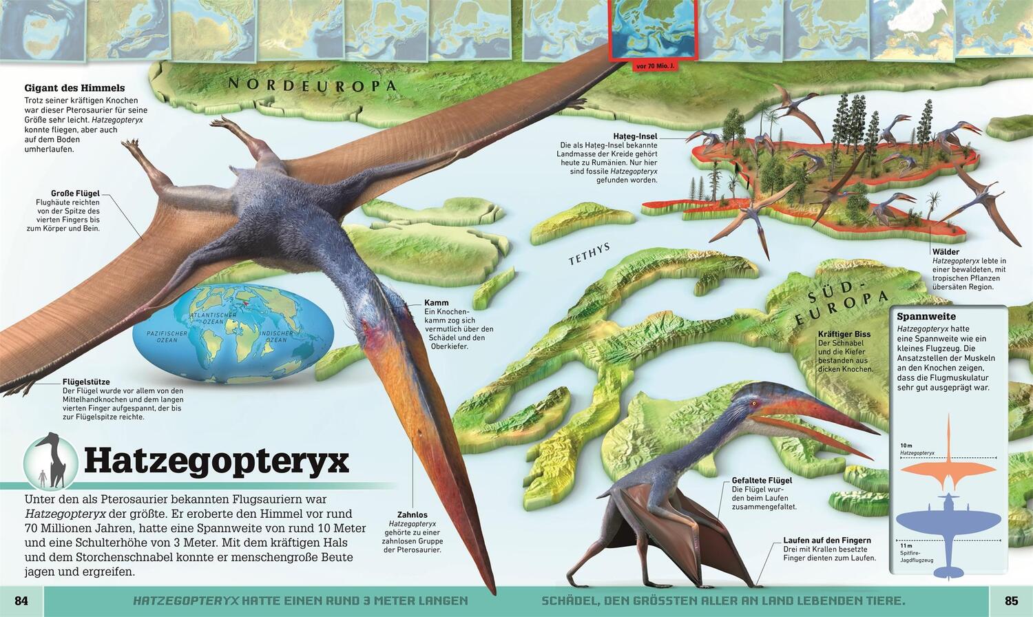 Bild: 9783831038060 | Dinosaurier-Atlas | Buch | Wo in aller Welt | 160 S. | Deutsch | 2019