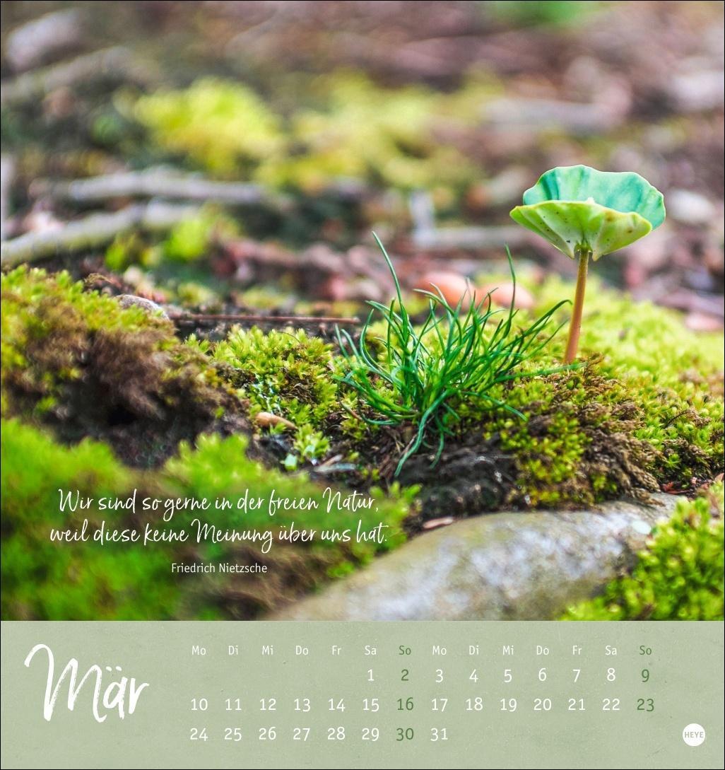 Bild: 9783756407118 | Unser Wald Postkartenkalender 2025 - zauberhafter Ort der Kraft | Heye