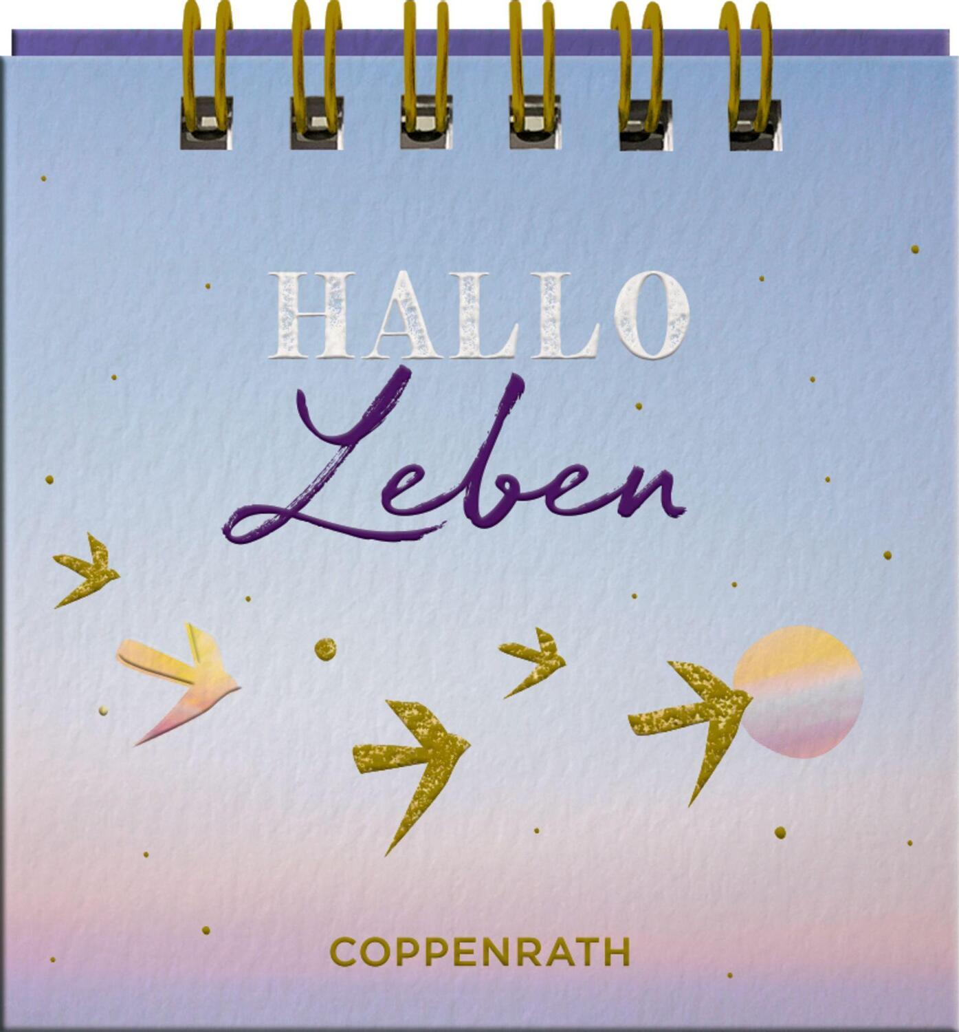 Bild: 9783649647317 | HALLO Leben | Taschenbuch | 24 S. | Deutsch | 2024 | Coppenrath