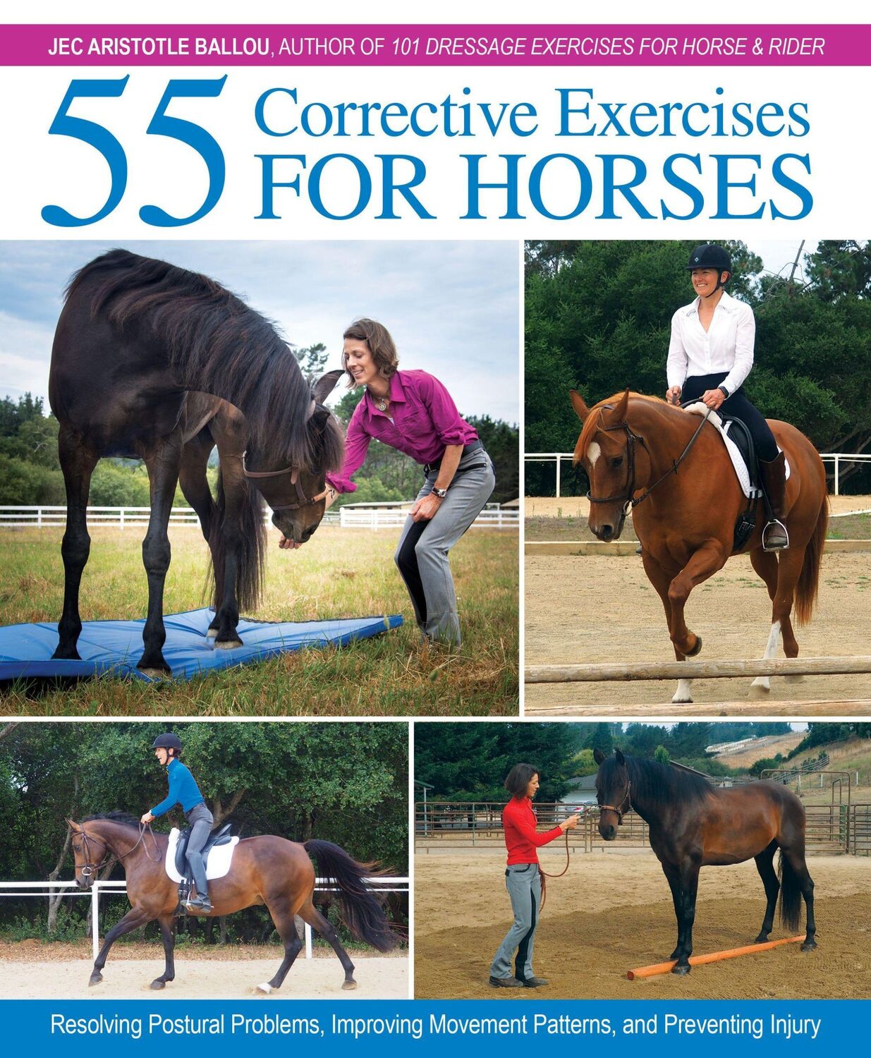 Cover: 9781570768675 | 55 Corrective Exercises for Horses: Resolving Postural Problems,...