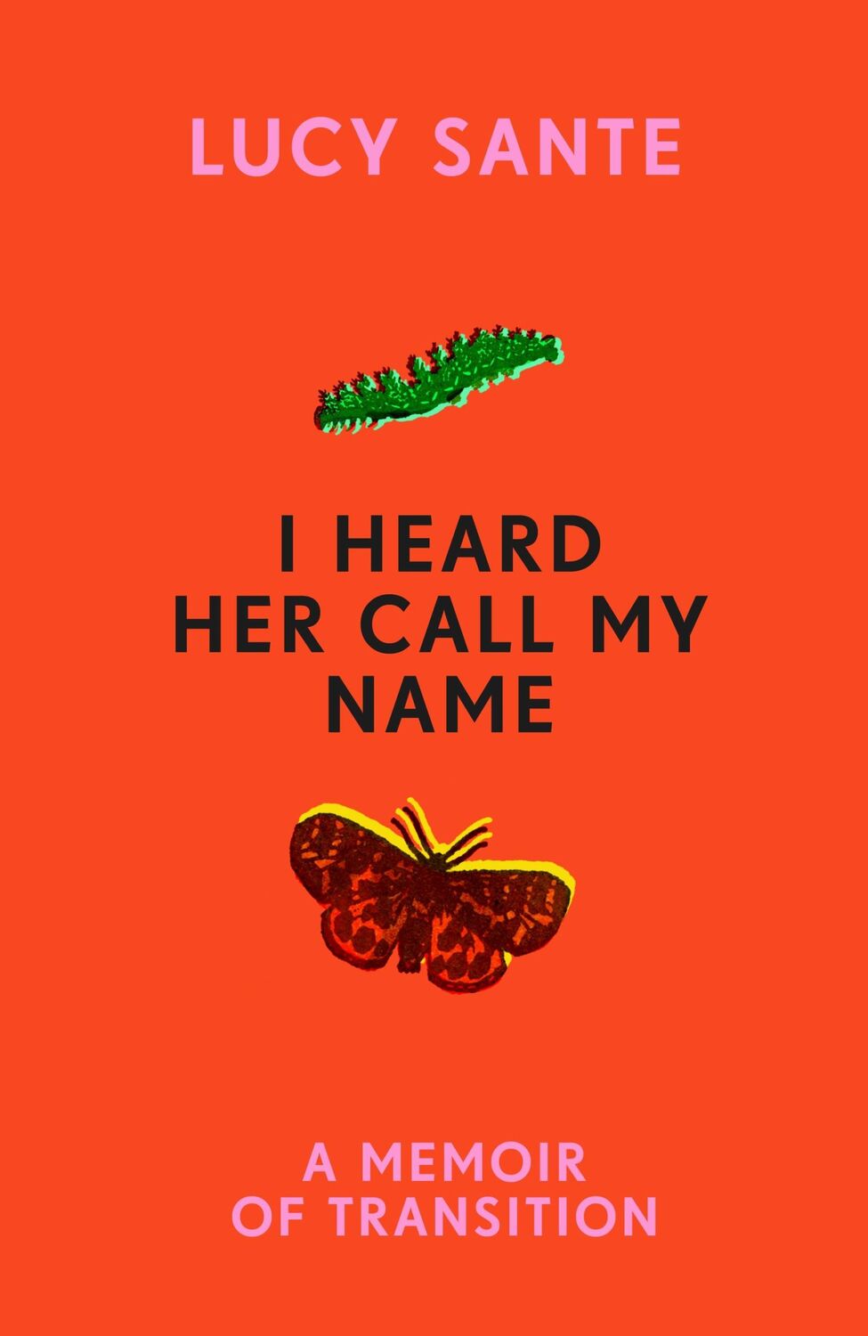 Cover: 9781529152722 | I Heard Her Call My Name | A memoir of transition | Lucy Sante | Buch