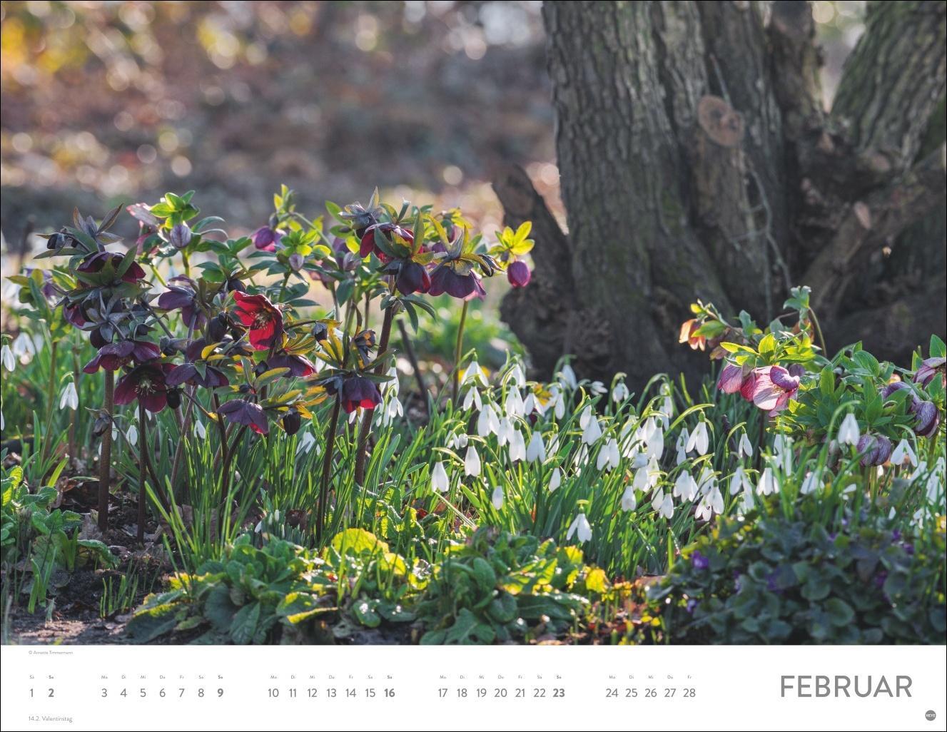 Bild: 9783756405046 | Gartenparadies Posterkalender 2025 | Heye | Kalender | Spiralbindung