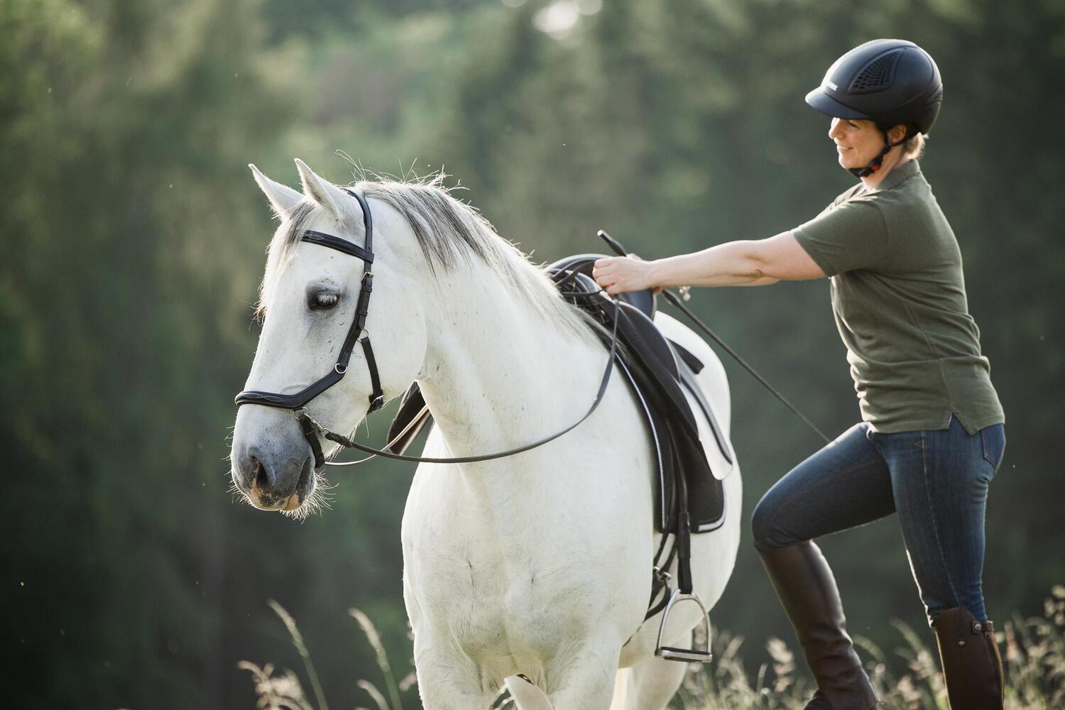 Bild: 9783275023011 | Einfach (An)Reiten | Anreiten und Training selbst in die Hand nehmen