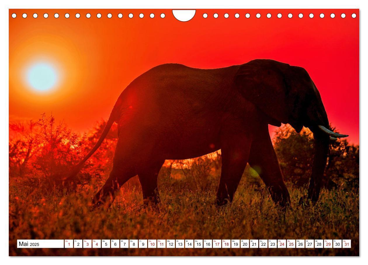 Bild: 9783435066124 | Elefanten-Traum - Herzenssache Afrika (Wandkalender 2025 DIN A4...