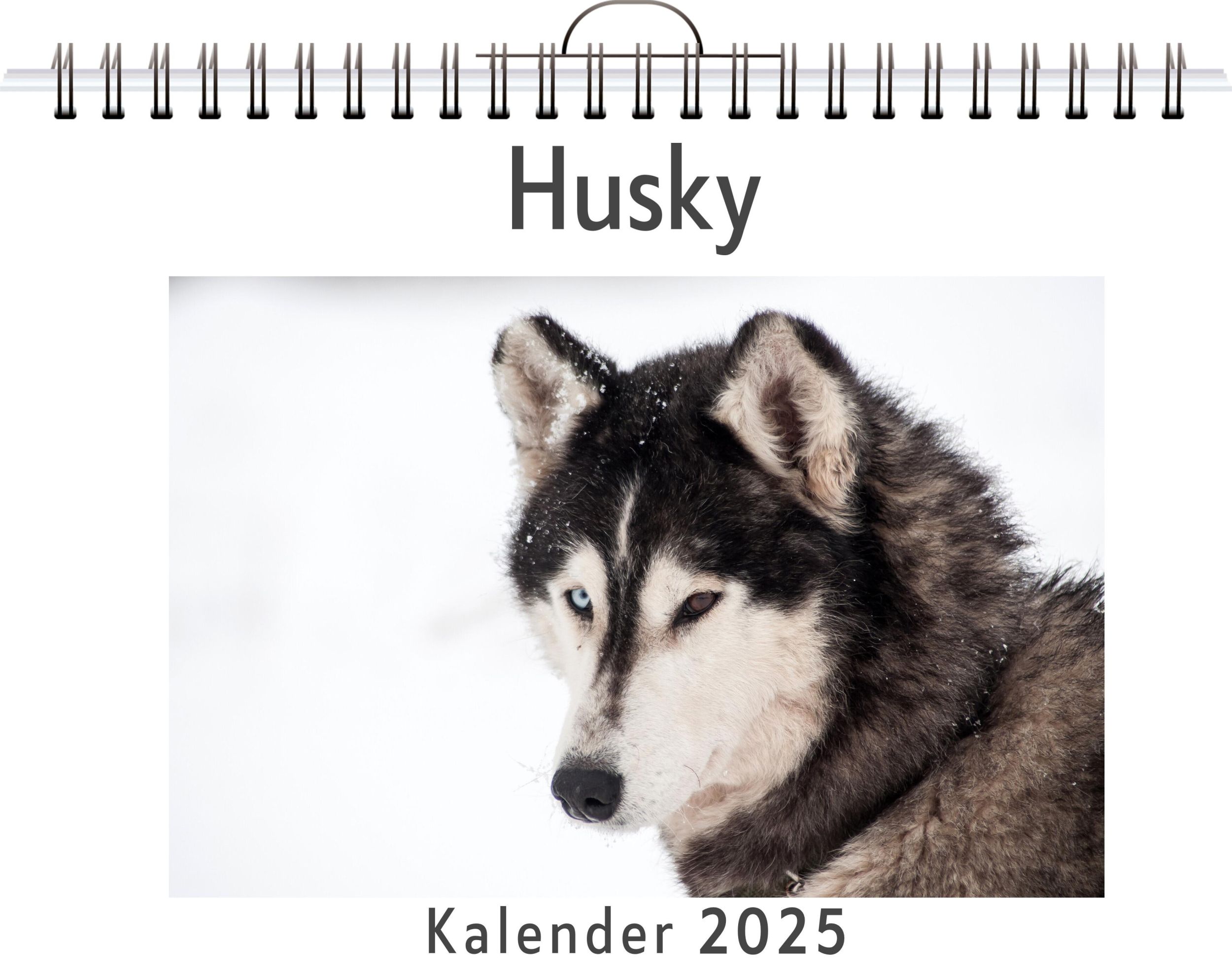 Cover: 9783759120465 | Husky | Marie Münch | Kalender | Kalender | 14 S. | Deutsch | FlipFlop