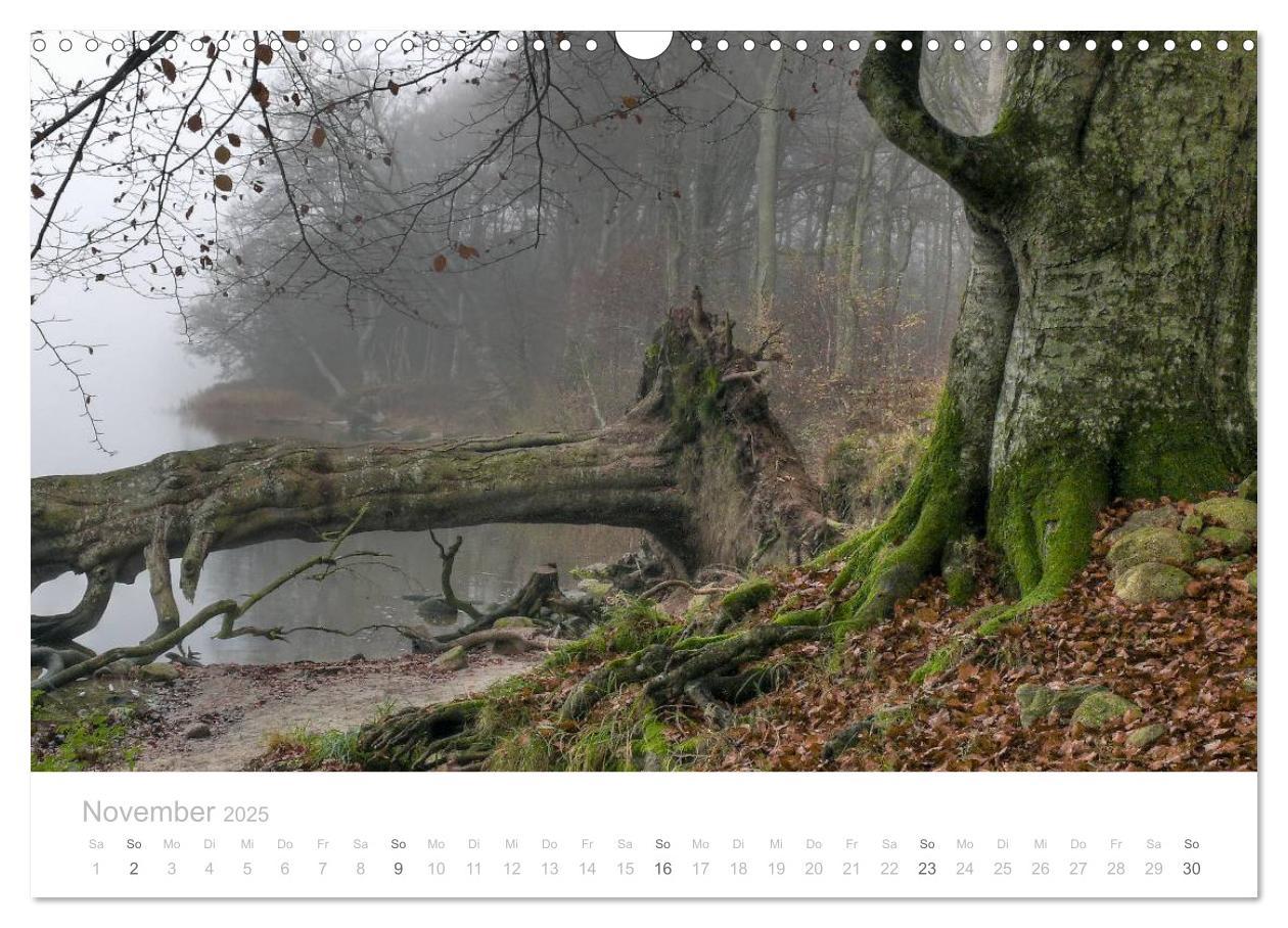 Bild: 9783435629251 | Zauberhafte Schlei (Wandkalender 2025 DIN A3 quer), CALVENDO...