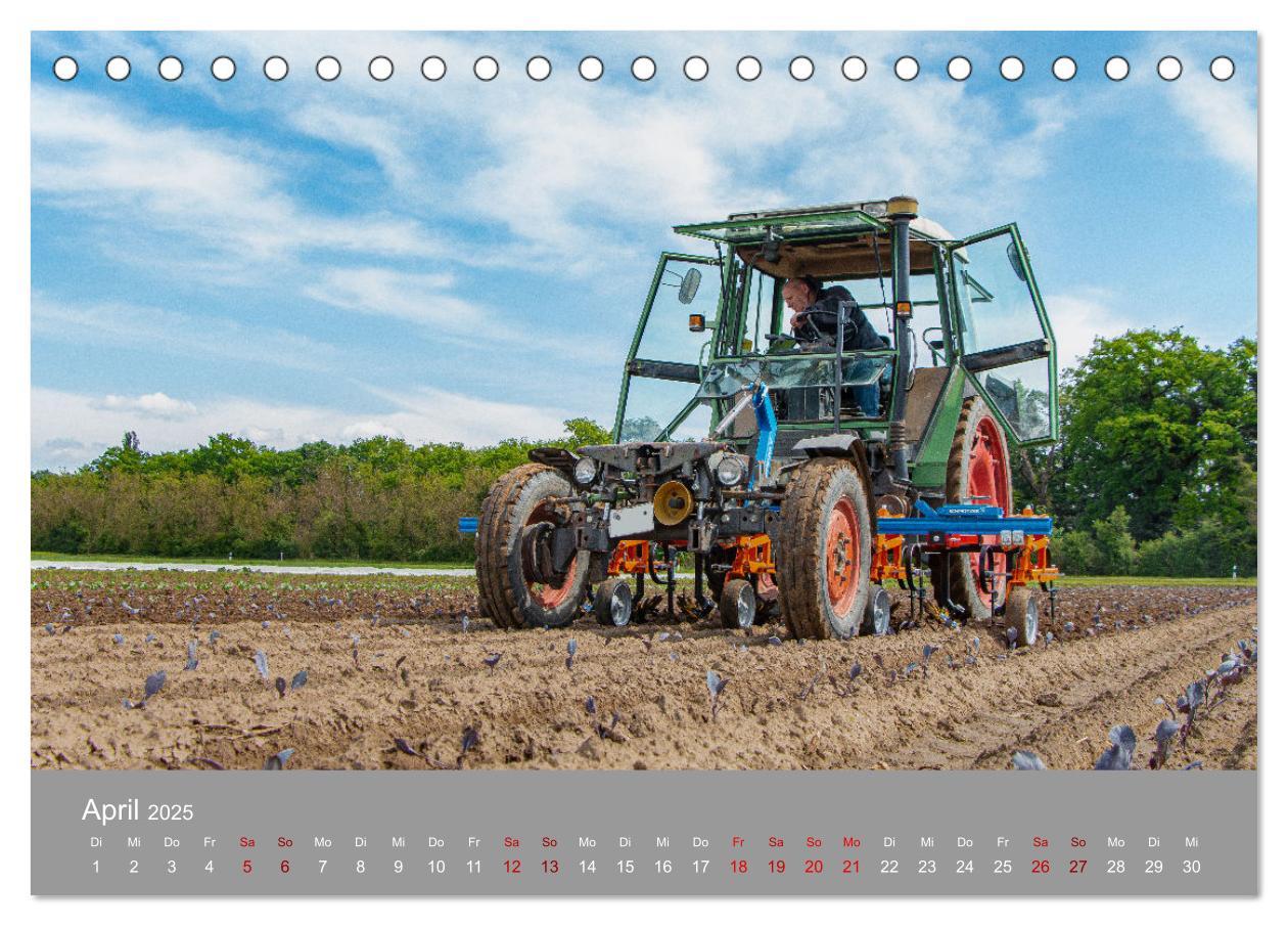 Bild: 9783435102037 | Youngtimer Landtechnik (Tischkalender 2025 DIN A5 quer), CALVENDO...