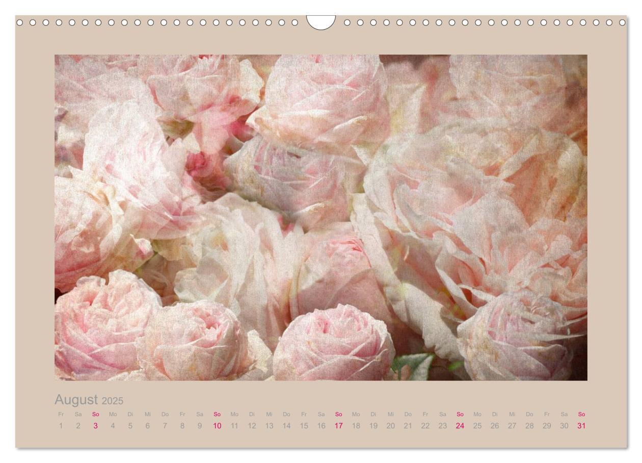 Bild: 9783435737130 | Romantische Rosen (Wandkalender 2025 DIN A3 quer), CALVENDO...