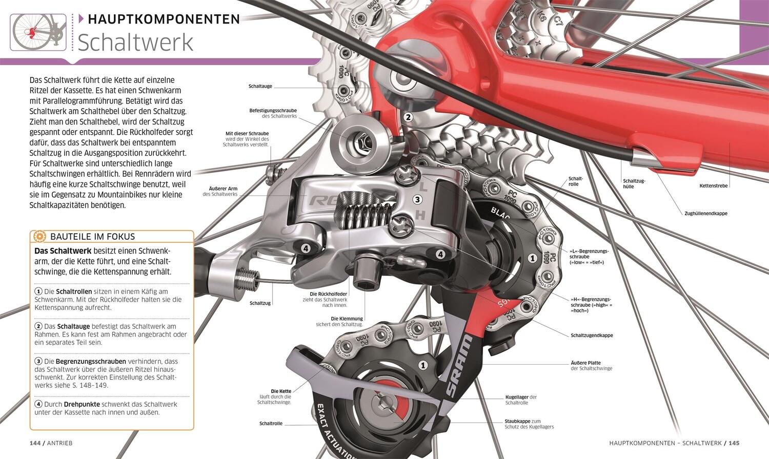 Bild: 9783831042180 | Das ultimative Fahrrad-Handbuch | Claire Beaumont (u. a.) | Buch