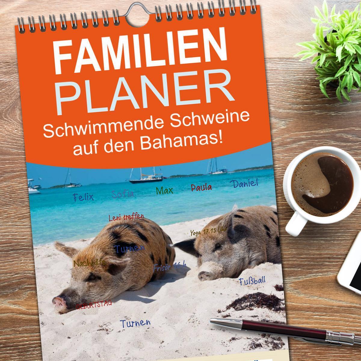 Bild: 9783457113776 | Familienplaner 2025 - Schwimmende Schweine auf den Bahamas! mit 5...