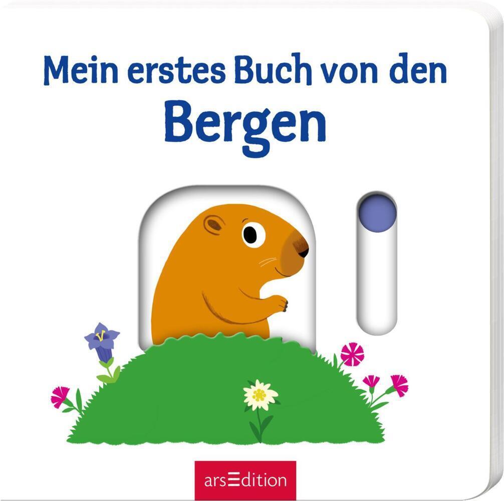 Cover: 9783845826103 | Mein erstes Buch von den Bergen | Mit stabilen Schiebern | Choux