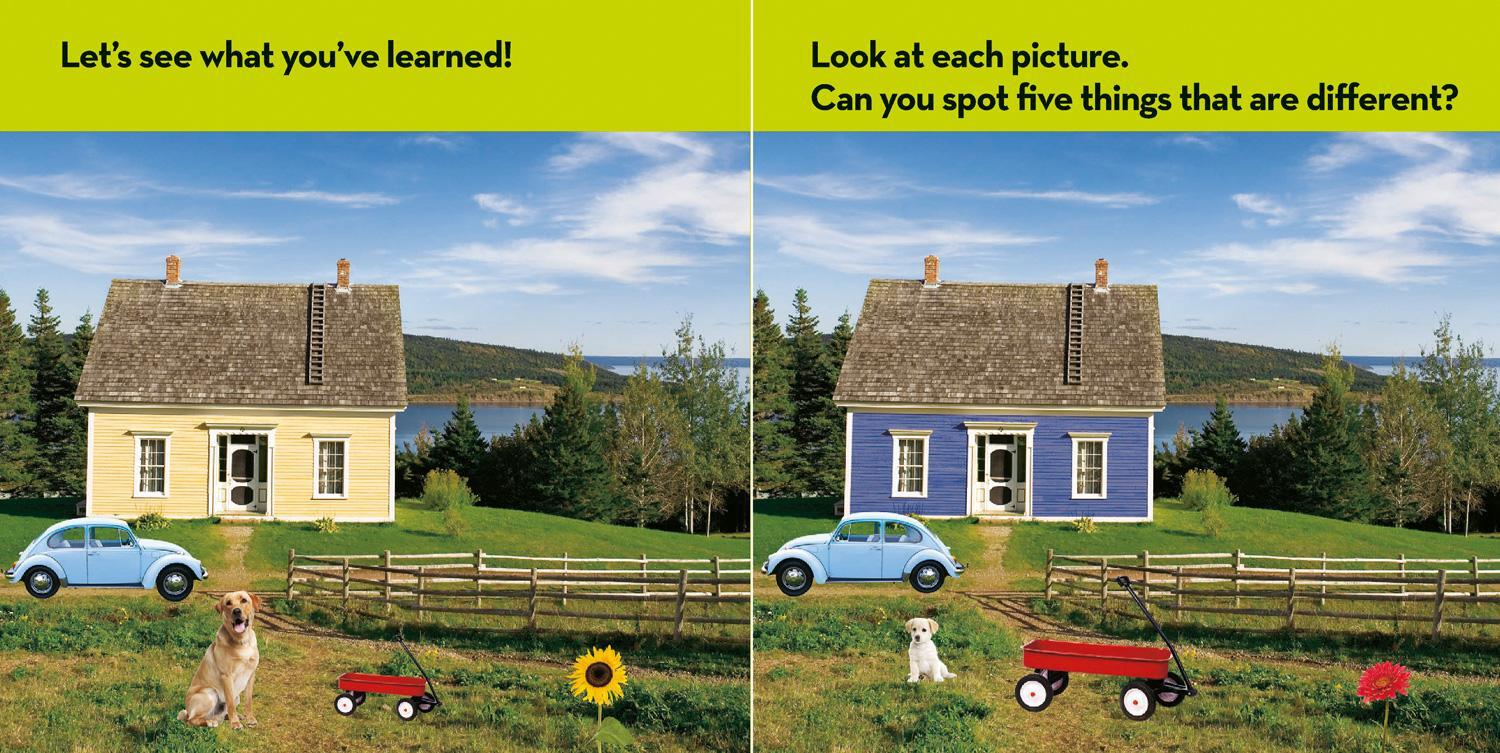 Bild: 9781426309281 | National Geographic Kids Look and Learn: Same and Different | Kids