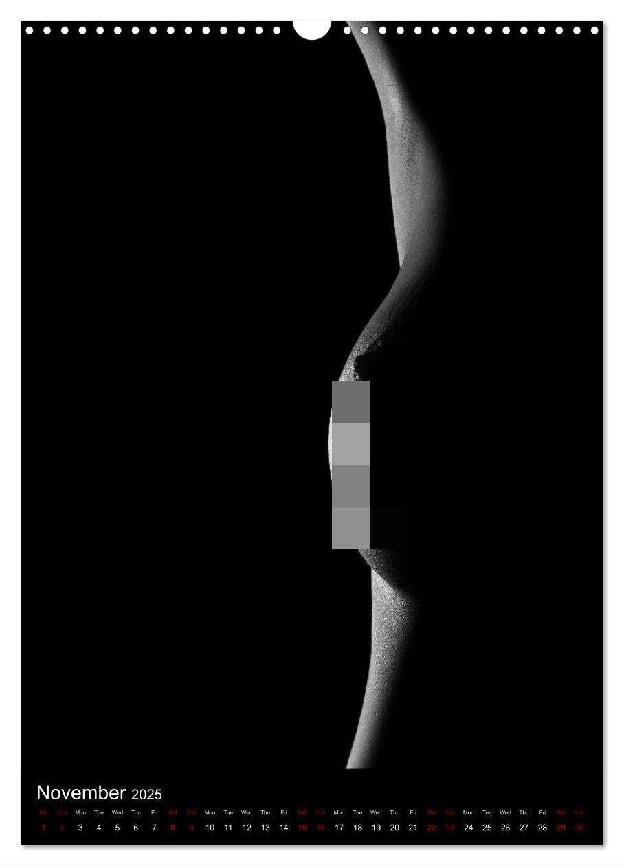 Bild: 9781325972951 | erotic shadows 2025 (Wall Calendar 2025 DIN A3 portrait), CALVENDO...