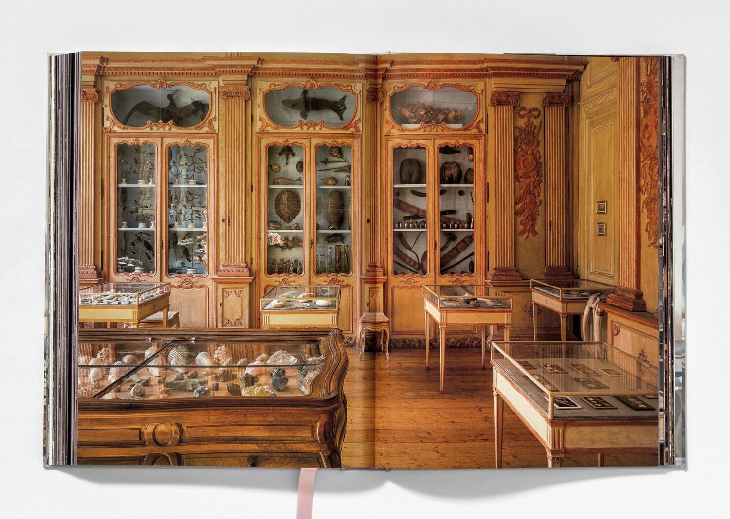 Bild: 9783836540353 | Listri. Cabinet of Curiosities | Giulia Carciotto (u. a.) | Buch