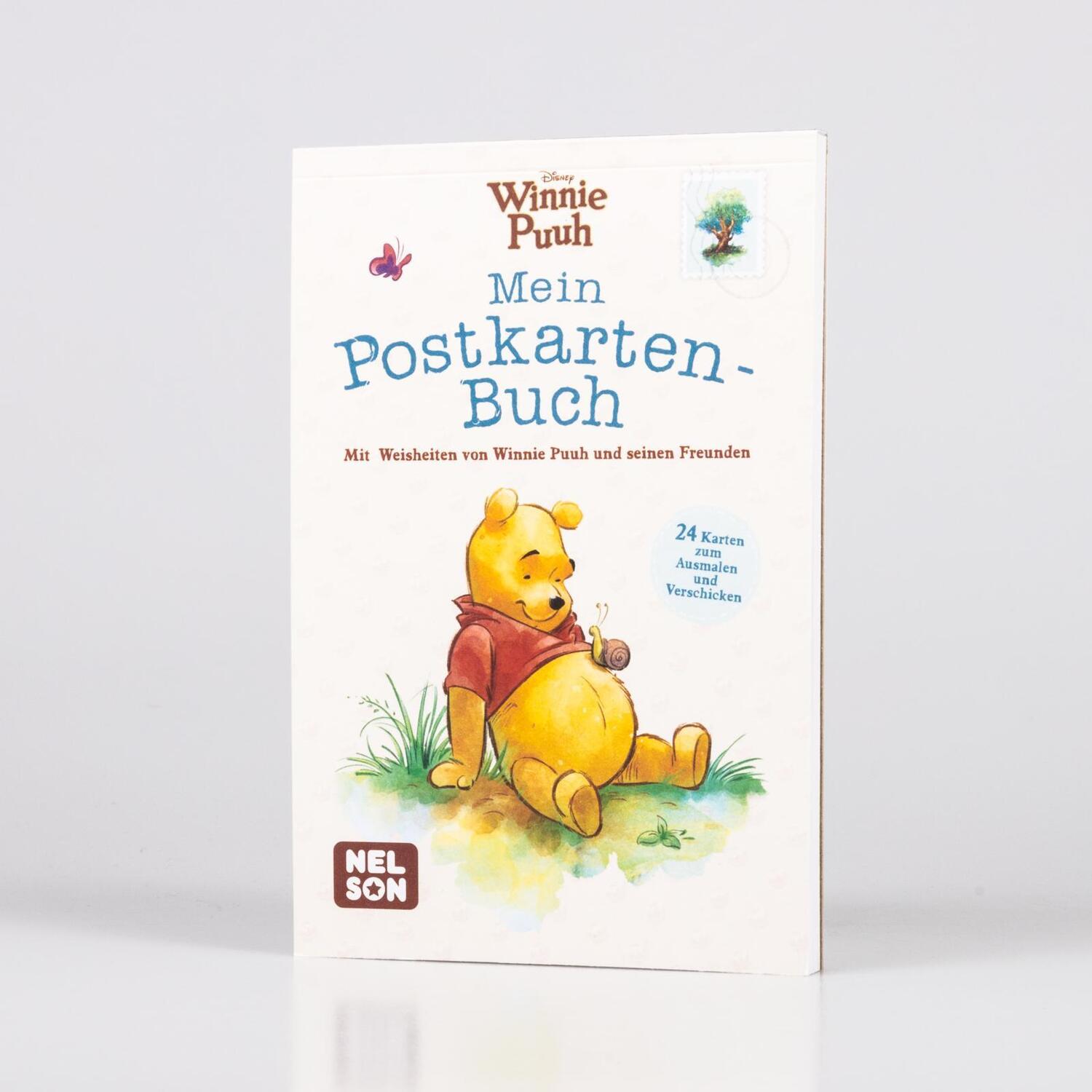 Bild: 9783845123899 | Winnie Puuh: Mein Postkarten-Buch | Taschenbuch | Disney Winnie Puuh